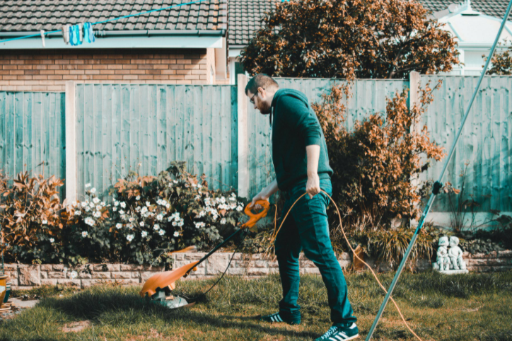 Helpful Guide to Proper Care of Flowering Plants in Your Garden